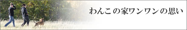 わんこの家ワンワンの思い