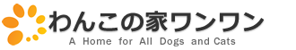 老犬ホームわんこの家ワンワン